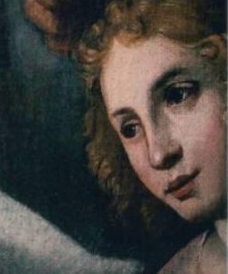 castelbaronia-tela-copertina